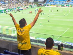 Camarote do Autista na Arena Pantanal terá continuidade nos jogos do Cuiabá no Campeonato Brasileiro 2024_660c499f738af.jpeg